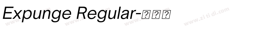 Expunge Regular字体转换